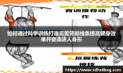 如何通过科学训练打造完美背部线条提高健身效果并塑造迷人身形