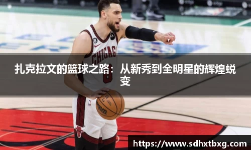 mk体育官网入口
