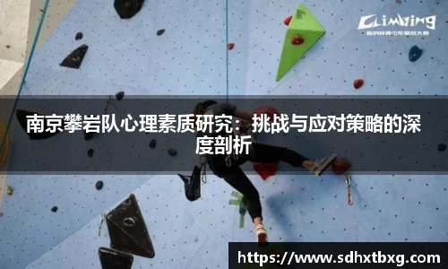 mk体育官网入口