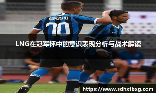mk体育官网入口