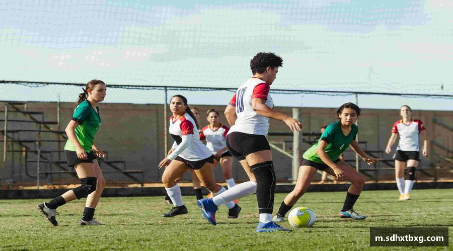 mk体育官网拥抱挑战，成就辉煌！